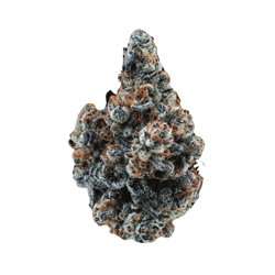 Citizen Labs CR 32/1 Cali Rain